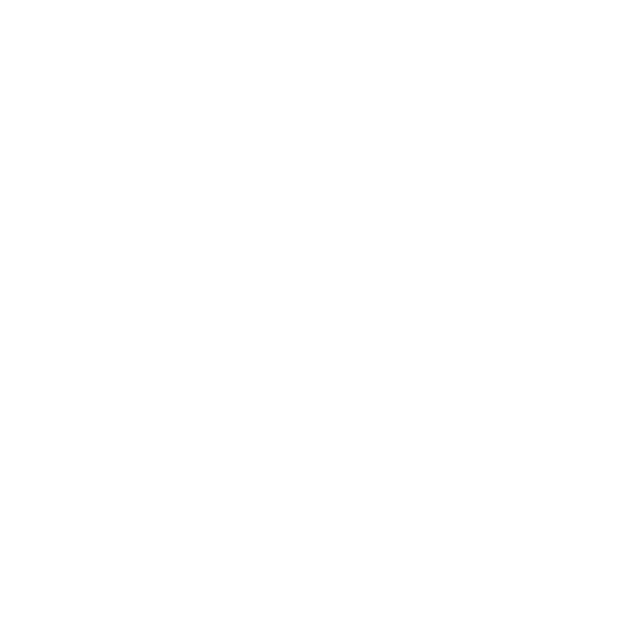 vizepluss.com